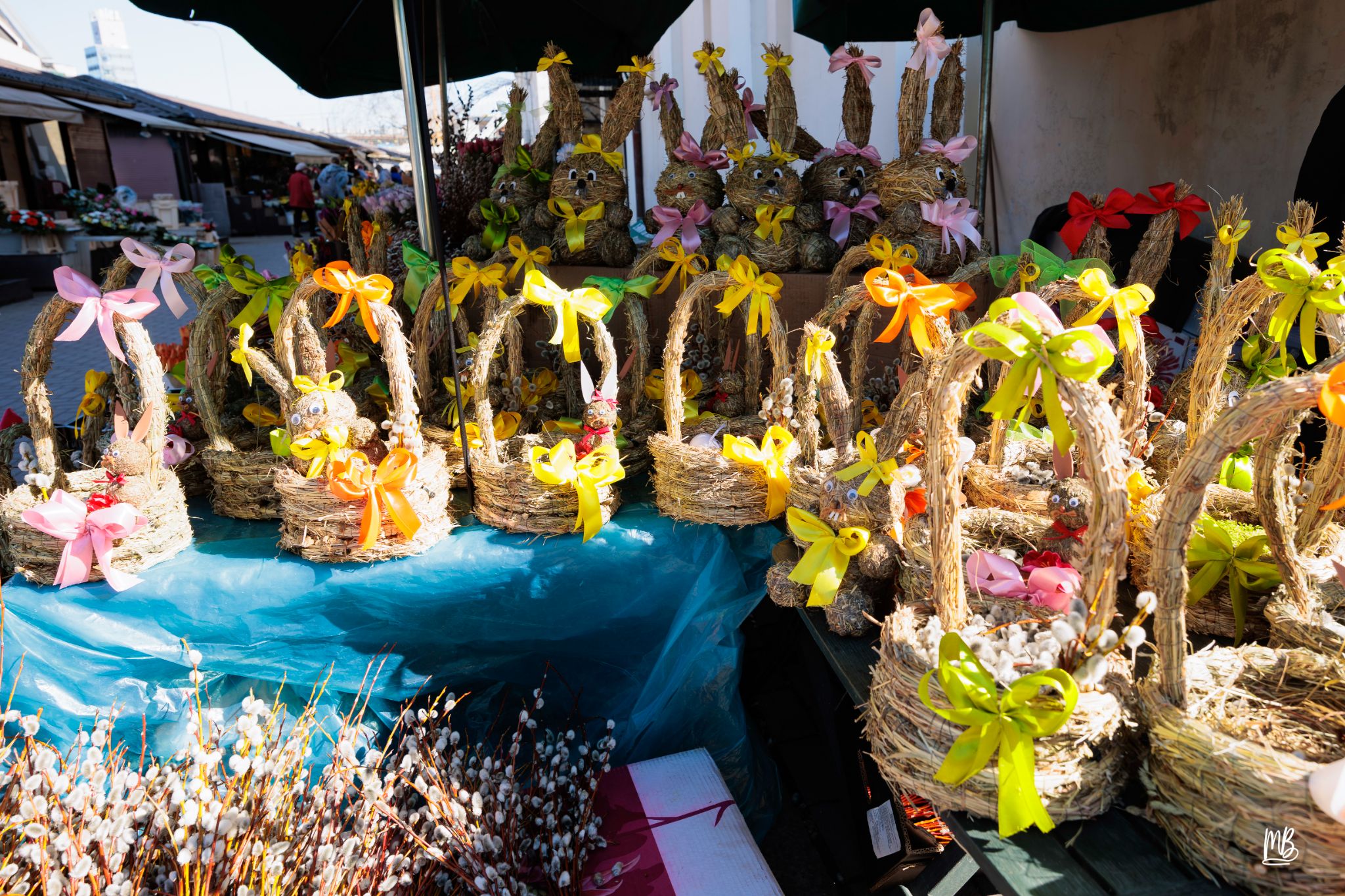 2024   Riga   MB 248